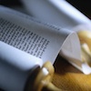 torah teaser 100x100